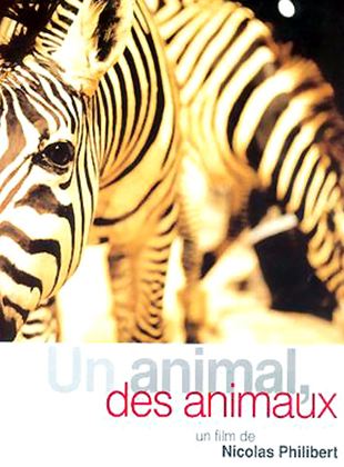 Un animal, des animaux