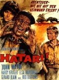 Hatari!