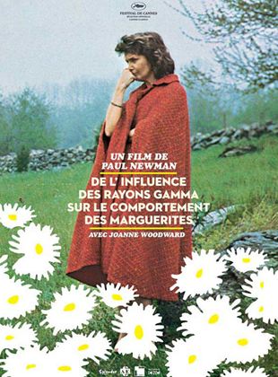 De l’influence des rayons gamma sur le comportement des marguerites