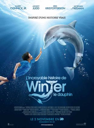 L’Incroyable histoire de Winter le dauphin