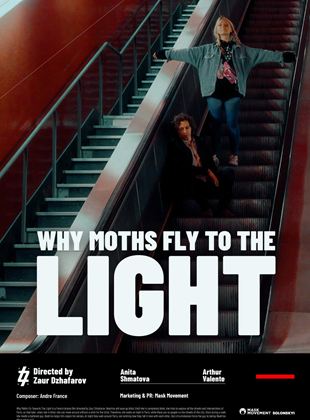 Why Moths Fly to the Light?