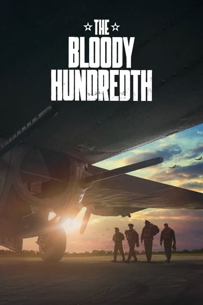 The Bloody Hundredth : la 100e escadre