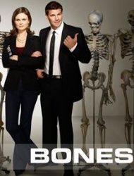 Bones